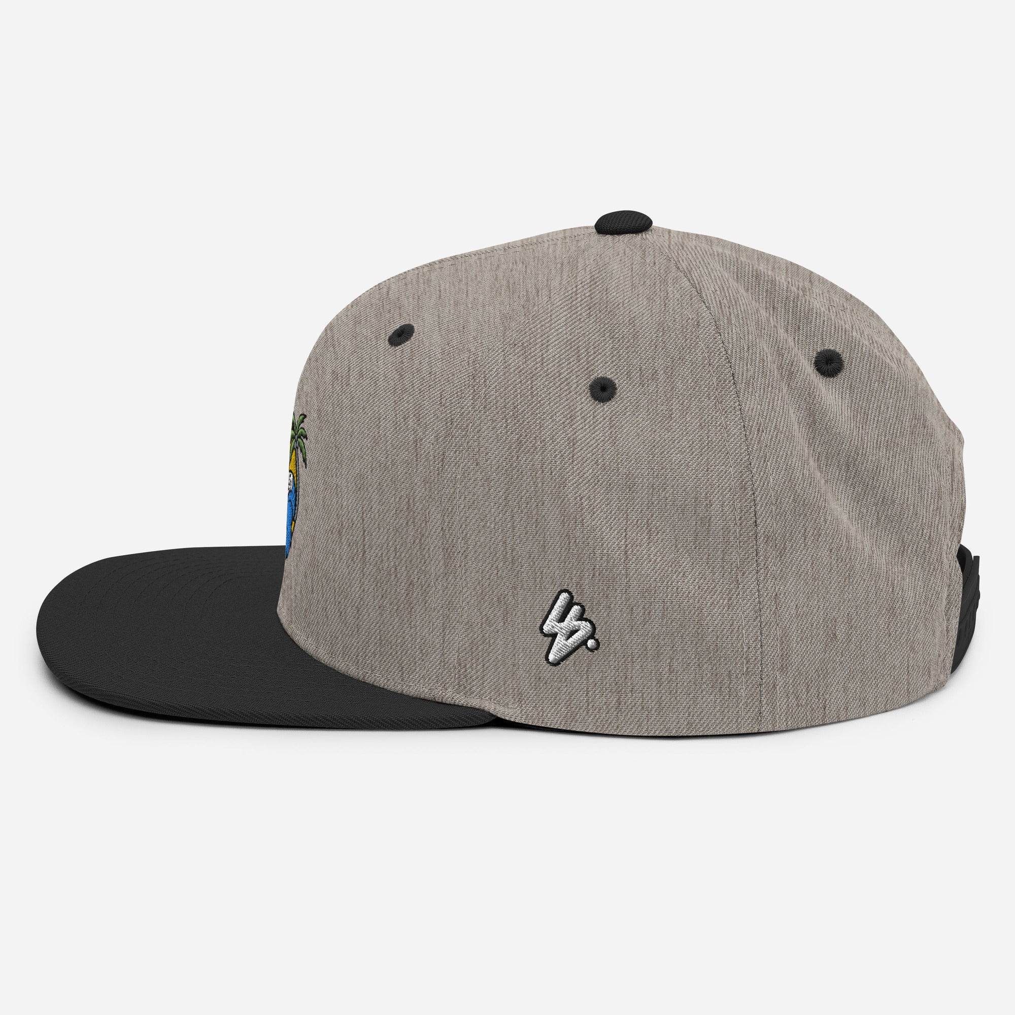 Happy skull Snapback Hat